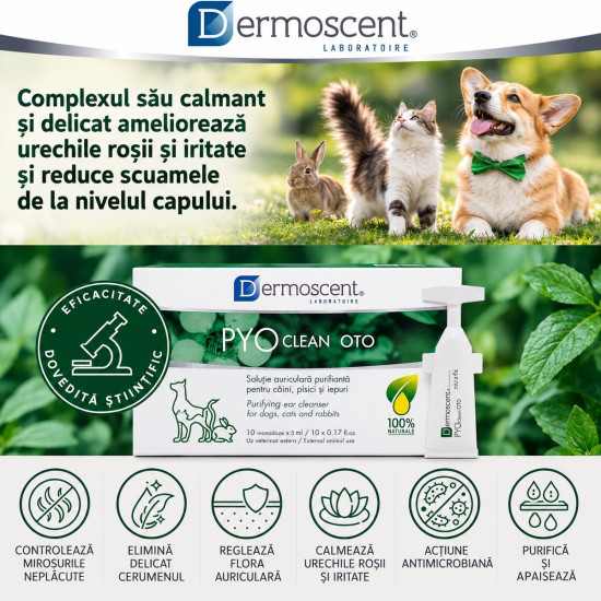 Dermoscent Pyoclean Oto, solutie otica caini si pisici, 10x5 ml
